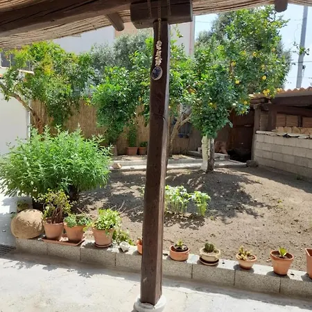 Casa Tzia Mirella Ollastra